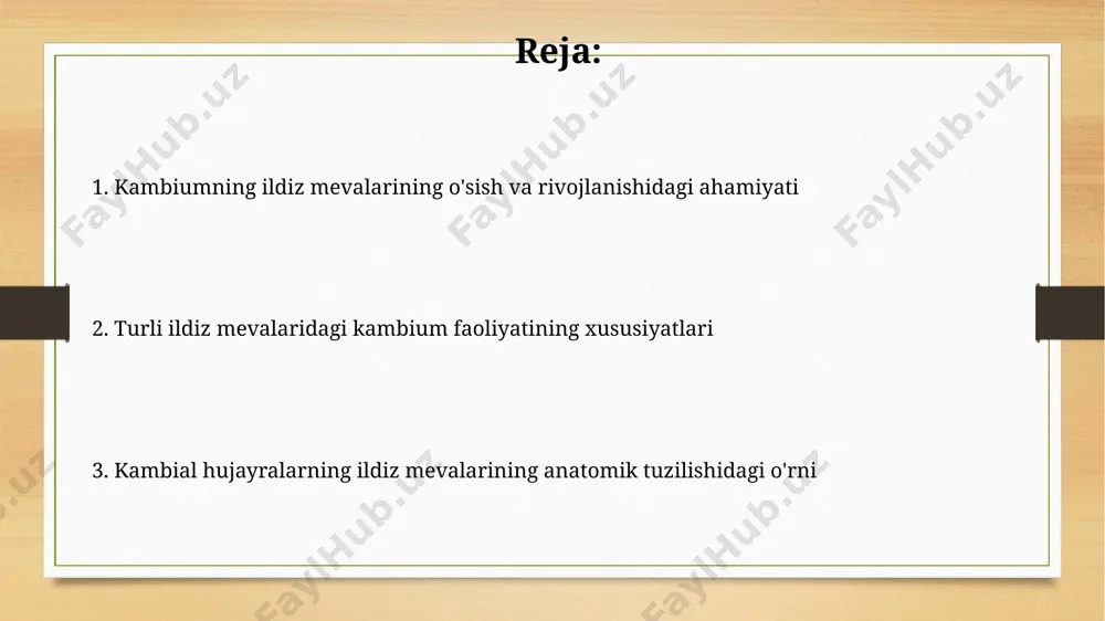 o'ladi. kambium va floema o'rtasidagi munosabat kambium floema bilan o'zaro bog'liq bo'lib, unga tomir to'qimalarining yangi elementlarini qo'shib, ildiz mevalarining diametri o'sishini ta'minlaydi. kambiumning faoliyati mavsumiy o'zgarib turadi, bu floema hujayralarining miqdori va tuzilishidagi farqlarga, shuningdek, ildiz mevasining o'sishi sur'atiga ta'sir qiladi. ildiz mevalarining qalinlashuvi ildiz mevalarining diametri, kambium faoliyati bilan birga, parenxima to'qimasining kengayishi va ozuqa moddalarining (kraxmal, shakar) to'planishi natijasida 10-15% ga ortadi. ildiz mevalarining qalinlashuvi asosan ikkilamchi floema va ksilemaning kambium to'qimalari faoliyati natijasida 2-3 marta ko'payadi, bu esa ozuqa moddalarining to'planishiga imkon beradi. kambiumning kasalliklarga chidamliligi yuqori konsentrasiyadagi fitohormonlar (masalan, auksinlar) kambium hujayralarining kasalliklarga qarshiligini 15-25% ga oshirishi mumkin, bu esa ildiz meva hosilini himoya qiladi. kambium hujayralarining regenerativ qobiliyati, 20% gacha shikastlanganda toʻliq tiklanishini taʼminlaydi, bu esa ildiz mevalarning patogenlarga qarshiligini oshiradi. ko'p yillik ildiz mevalarining o'sishi ildiz mevasining o'sishi davomida kambium hujayralarining bo'linish tezligi, tuproqning namligi va o'simlikning mineral oziqlanishiga bog'liq holda o'zgarib turadi, …