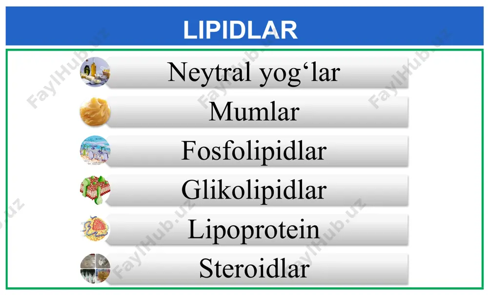 g‘ zaxira holda to‘planadi. cho‘l hayvonlarida va qishda uyquga ketadigan hayvonlarda zaxira yog‘ energiya va suv manbayi bo‘lib xizmat qiladi. lipidlarning funksiyalari lipidlarning funksiyalari yog‘da eruvchi a, d, e, k vitaminlari fermentlarning koferment qismini tashkil qiladi. umumlashtirish barcha tirik organizmlar hujayralari tarkibiga kiradi. lipid qutblanmagan, gidrofob molekulalardir. tuzilishiga ko‘ra bir necha guruhlarga bo‘linadi: neytral yog‘lar, mumlar, fosfolipidlar, glikolipidlar, lipoprotein, steroidlar. lipidlar hujayrada xilma-xil funksiyalarni bajaradi. plastik (qurilish materiali) funksiyasini bajaradigan lipidlarga hujayralar membranali tuzilmalarining tarkibiga kiruvchi fosfolipidlar, xolesterin, lipoproteinlar, glikolipidlar misol bo‘ladi. mustahkamlash uchun savollar qanday birikmalar lipidlar deb ataladi? lipidlar guruhlarini qanday guruhlarga bo‘linadi? lipidlar qanday funksiyalarni bajaradi? tirik organizmlar mumdan nima maqsadda foydalanishini ayting. mustaqil bajarish uchun topshiriq lipidlar guruhlari tarkibi funksiyasi neytral yog‘lar mumlar fosfolipidlar glikolipidlar lipoprotein steroidlar jadvalni to‘ldiring e’tiboringiz uchun rahmat image1.jpg image2.png image19.jpg image20.jpeg image21.jpg image22.jpeg image23.jpeg