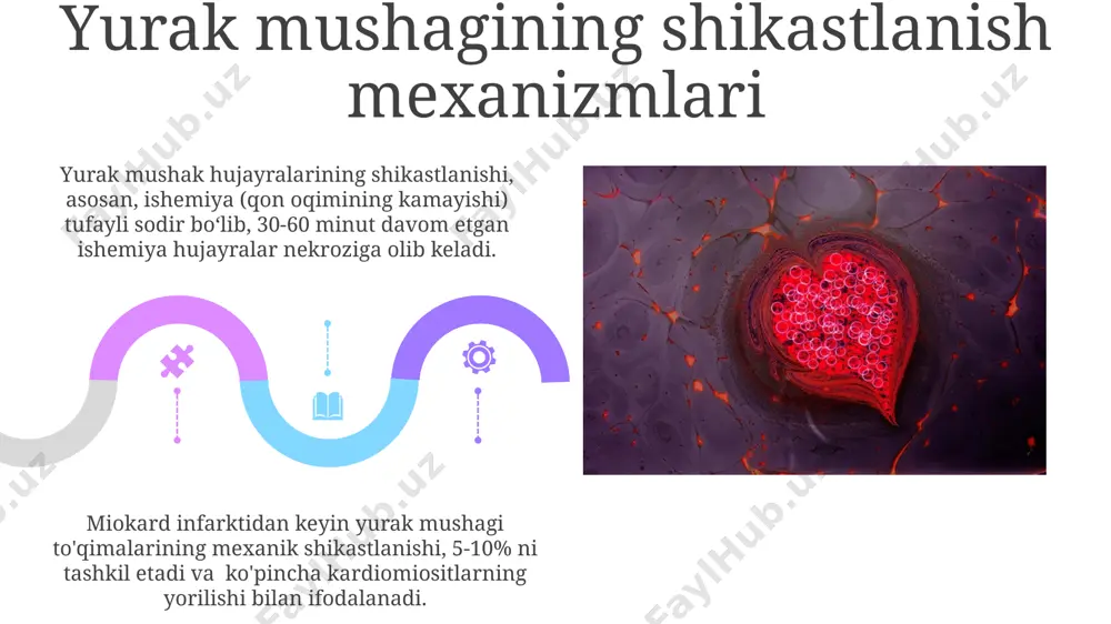 yurak mushagining regeneratsiyasi - Page 5