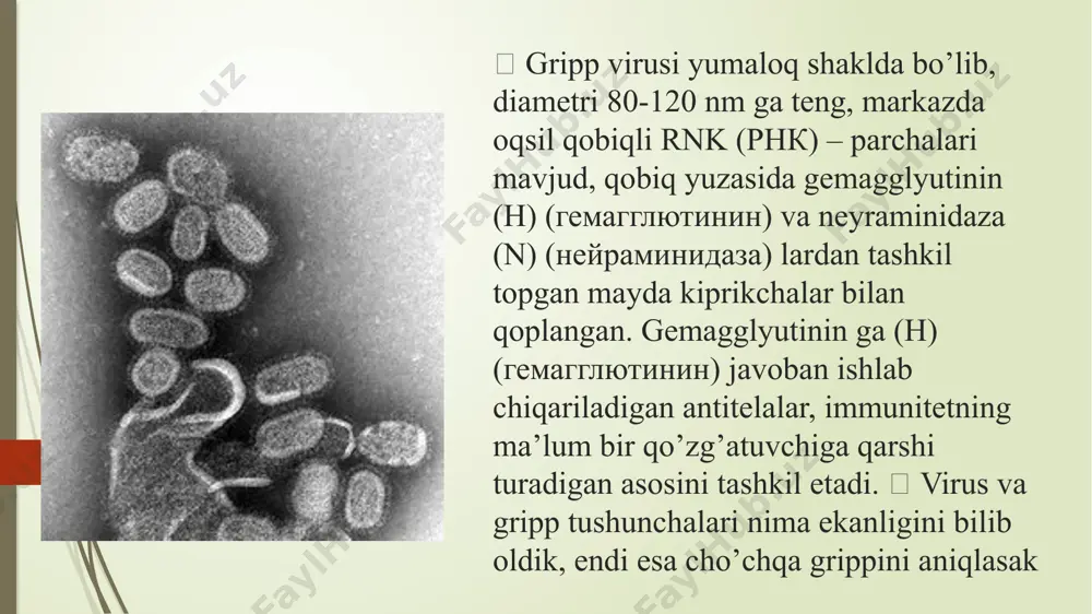 gripp - Page 4