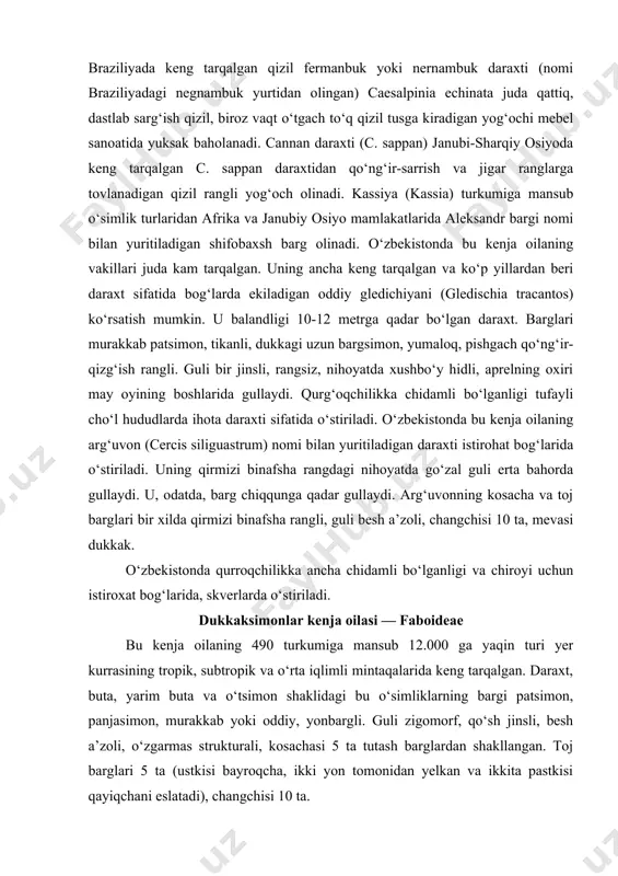 sh a’zoli, changchisi 10 ta, mevasi dukkak. o‘zbekistonda qurroqchilikka ancha chidamli bo‘lganligi va chiroyi uchun istiroxat bog‘larida, skverlarda o‘stiriladi. dukkaksimonlar kenja oilasi — faboideae bu kenja oilaning 490 turkumiga mansub 12.000 ga yaqin turi yer kurrasining tropik, subtropik va o‘rta iqlimli mintaqalarida keng tarqalgan. daraxt, buta, yarim buta va o‘tsimon shaklidagi bu o‘simliklarning bargi patsimon, panjasimon, murakkab yoki oddiy, yonbargli. guli zigomorf, qo‘sh jinsli, besh a’zoli, o‘zgarmas strukturali, kosachasi 5 ta tutash barglardan shakllangan. toj barglari 5 ta (ustkisi bayroqcha, ikki yon tomonidan yelkan va ikkita pastkisi qayiqchani eslatadi), changchisi 10 ta. dukkakli o‘simliklarning turkumlari orasidagi o‘zaro farqini aniqlash uchun changchisini tuzilishi muhim ahamiyatga ega. ayrim turkumlar vakillarining changchisi tutash emas, 10 ta changchining har biri alohida-alohida erkin holda joylashgan (sophora, thermopsis), boshqalarida barchasi tutashib chang nayini hosil qiladi. urug‘chisi shu nay ichida joylashgan (lupinus) bo‘ladi. va, nihoyat, ko‘pchilik turkumlarda changchisining 9 tasi tutash, 1 tasi alohida (pisum, medicago, vicia, …