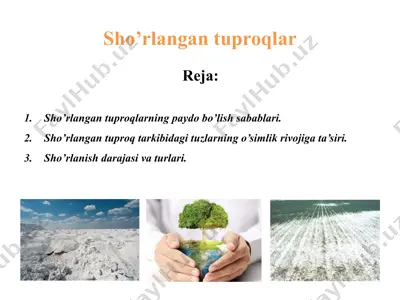 sho’rlangan tuproqlar — PPTX