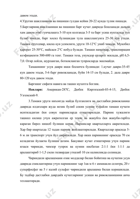 и керак. хар 1 м2дан 2200-2500та кучат олинади. тамаки уруги экишдан олдин ивитилади, аммо эрта экиладиган булса, уруг ивитилмайди. совук парникларда 1 кв м га 1-1,5 г иссик, ярим иссик парникларда 0,4-0,6 г уруг экилади. экишдан олдин парник юзаси текисланади, зичланади ва сугорилади. уруг сепилгандан кейин 0,4-0,5 см калинликда чиринди ёки кум сепилади, устига сув сепилади. хар куни 0,5 л\кв м меъёрда сугорилади. озиклантириш учун 10 л сувга 30 г аммиакли селитра 50 г суперфофат, 20 г калий сульфати аралаштирилади ва шу эритма 4-5 м2 га сепилади. кучатни далага утказишдан 6-8 кун олдин сугориш камайтирилади, 2-3 кун колганда тухтатилади. кучатлар 5-6 та чин барги чикарганда ва буйи 12-14 см етса далага экиш мумкин. кучатларни парникдан кучириб олишдан 1-2 соат олин кондириб сугорилади. кучатлар саралаб олинади ва яшикларга илдизи ичкарига килиб терилади, хул латта билан ёпиб то далаг жунатулганга кадар сояда сакланади. тамаки дон, дон дуккакли экинлардан, бушаган ерларга экилади. сурункасига …
