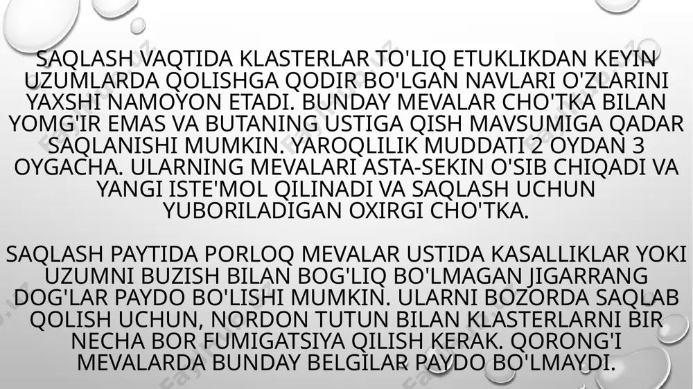 chun mo'ljallangan uzum yig'ish uchun quyoshli kunni tanlang. ertalab va kechqurun shudring tushishi mumkin va mevalar imkon qadar quruq bo'lishi kerak. ketish keyinchalik saqlash usuliga bog'liq ravishda o'tkir burgut bilan amalga oshiriladi: qochib ketgan yoki qochib ketmasdan. meva olib tashlash uchun, ular yumshoq qo'lqop qo'yish va rezavorlarga tegmaslik uchun harakat qilishlari kerak, lekin shamlardan taroq yoki dastani tomonidan ushlab qolish uchun. bug'doyni (mum parchalarini) saqlab qolish juda muhimdir. to'g'ri yetishtirilgan va diqqat bilan yig'ilgan guruhlar ehtiyotkorlik bilan tekshirilishi va har qanday zarar etkazilishi kerak - etishmaydigan, quritilgan mevalarni olib tashlash kerak. ushbu protsedura sog'lom mevalar uchun kamroq shikastlanadigan bo'lishi uchun pinhon yoki makaslar yordamida makaslardan foydalaning. barcha cho'tkasi ehtiyotkorlik bilan tekshirib, ularni faqat yumshoq mato bilan tozalaydi. klasterda qoldirilgan zararlangan mevalar tezda mog'or bilan qoplanadi va uzumning qolgan qismiga zarar etkazadi. shubhali mevalarni erta bosqichda olib tashlash kerak. qolib - saqlab qolish davrida uzumning asosiy dushmani. agar shamchaning ho'l ekanligi …