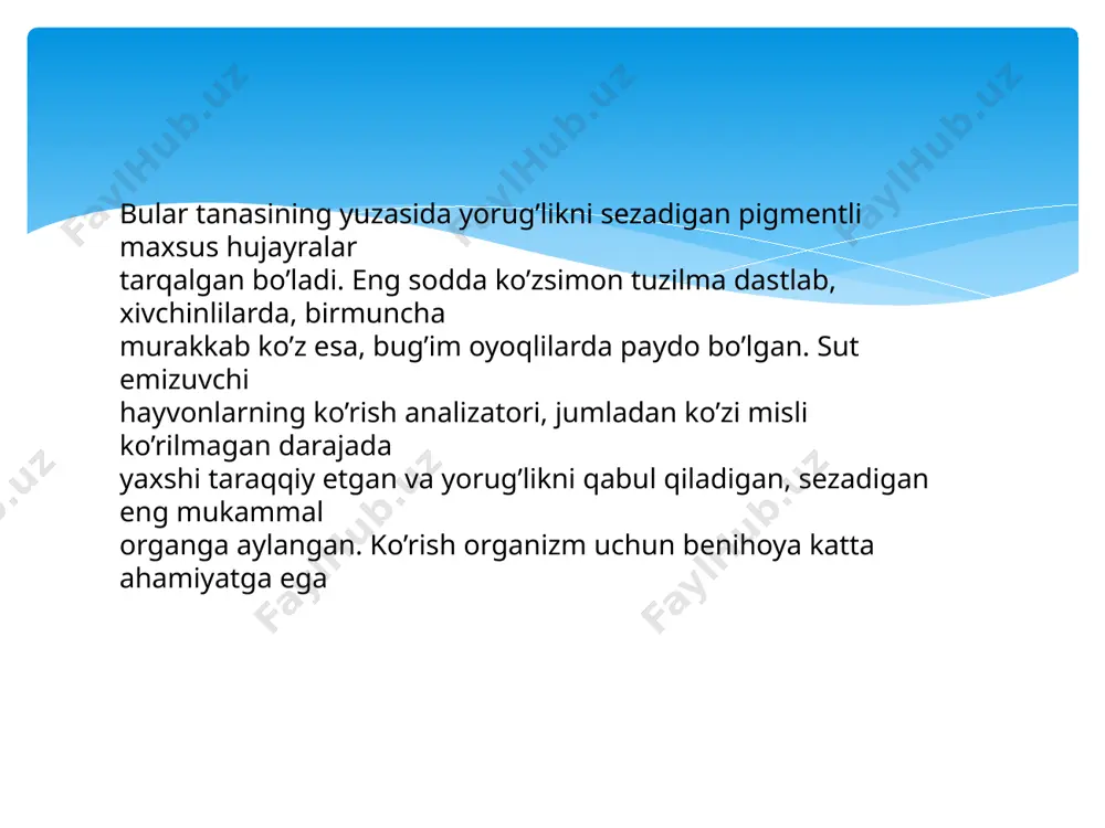 shox parda, ko’z gavhari, shishasimon tana turlicha tuzilgan bo’lib, turlicha nur singdirish qobiliyatiga ega. nurlarning sinib o’tishi tufayli tashqi buyumdan ko’zga keladigan nurlar, to’r pardada shu buyumlarning haqiqiy, ammo kichraygan teskari tasvirini beradi. boshqacha aytganda, har bir narsaning tasviri ko’zga tushganda to’r pardaga teskari va kichik bo’lib tushadi. buyumlarning tasviri ko’zga teskari bo’lib tushsa ham, biz ularni to’g’ri ko’ramiz. chunki, ob'ektiv reallikni biz odatda faqatgina ko’zimiz yordamida aniqlaymiz. istalgan har bir narsa bir vaqtning o’zida bir nechta analizatorlar yordamida aniqlanadi. shuning natijasida u qanday holda mavjud bo’lsa, shunday holda idrok qilinadi. ko’rish uchun ko’zga tushgan nurning to’r pardaga yetib borishining o’zigina kifoya emas. buning uchun nur ta'siroti to’r pardadan markaziy asab tizimi va uning oliy qismi - bosh miya yarim sharlarining po’stlog’iga uzatilishi kerak. darhaqiqat, ko’zga, ya'ni to’r pardaga tushgan yorug’lik nurlari u yerdagi yorug’lik sezuvchi hujayralar - (fotoretseptorlar) - tayoqcha va kolbachalarga ta'sir etib, tayoqcha va kolbachalarning tashqi bug’imlaridagi …