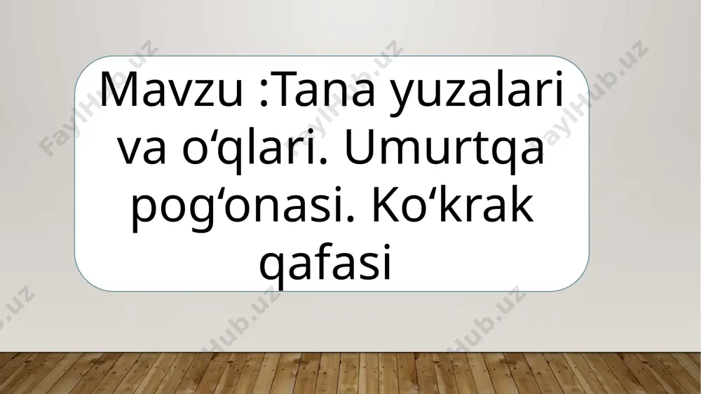 arni himoya qilishni ta'minlaydigan skelet tuzilmasidir. ko‘krak qafasiga quyidagilar kiradi: • ko‘krak umurtqalari (thoracic vertebrae): yuqorida aytib o‘tilgan 12 ta ko‘krak umurtqasi. • qovurg‘alar (ribs): 12 juft qovurg‘alar mavjud. birinchi 7 juft qovurg‘alar haqiqiy, ya'ni ko‘krak umurtqalariga bevosita ulanadi. 8-10-juft qovurg‘alar soxta qovurg‘alar bo‘lib, ular boshqa qovurg‘alar bilan birlashib, ko‘krak qafasiga ulanadi. 11-12-juft qovurg‘alar esa erkin qovurg‘alar bo‘lib, ularning uchlari hech qanday tuzilma bilan ulanmaydi. • ko‘krak suyaklari (sternum): ko‘krakning old qismida joylashgan yassi suyak bo‘lib, 3 qismdan iborat: moshin (manubrium), tana (body), va xiphoid jarayon. ko‘krak qafasi, nafas olishda ishtirok etadi, va ichki organlarni, masalan, yurak va o‘pka kabi muhim organlarni himoya qiladi. umurtqa pog‘onasi va ko‘krak qafasining tuzilishi, organizmning mehanik barqarorligini saqlashga va normal funktsional faoliyatni ta'minlashga yordam beradi. image2.jpeg image3.jpeg image1.jpg /docprops/thumbnail.jpeg
