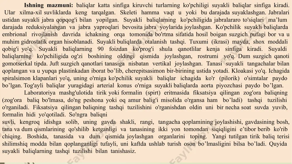 onining o'rtasidan og'izgacha kesing (bunda ichki organlarga zarar yetkazmaslik kerak). anal teshigi oldidagi kesikdan yuqoriga tomon to umurtqa pog'onasiga (ichki bo'shliqning ustki devoriga) qadar ko'ndalangiga kesing. kesikdan hosil bo'lgan tana devorini ko'tarib, umurtqa pog'onasi bo'ylab bosh tomonga qarab kesikni jabra qopqog'igacha davom ettiring va hosil bo'lgan parchani tanadan ajratib oling. baliqning jabra qopqoqlaridan birini kesib olib, uning suyak­lari hamda terisining tuzilishini o'rganing. qopqoq ostidagi jabralardan birini kesib olib, suvda yaxshilab yuving va petri shisha idishidagi suvga soling. idish ostiga oq qog'oz qo‘yib, jabra ravoqlari tuzilishini o‘rganing. baliqning og‘ziga cho'p tiqib, cho‘pni jabra yoriqlaridan chiqishiga ishonch hosil qiling. ostiga mum solingan idishga yorilgan baliqni solib, labi va dumidan nina bilan sanchib baliqni idish tubiga yopishtiring. so‘ngra idishga yorilgan baliqni ko‘madigan miqdorda suv quying (ichki organlar suv yuzasiga qalqib chiqib, ularni ko‘zdan kechirishni osonlashtiradi). yorilgan baliq yuragini ajratib olib, petri shisha idishdagi suvga solib ko'rib chiqing. yurakning och qizg‘ish qorinchasi va to‘q …