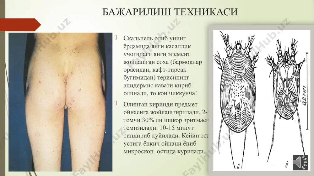 dеrmаtоvеnеrоlоgijа каfеdrаsi kаttа ўqituvchi - Page 3