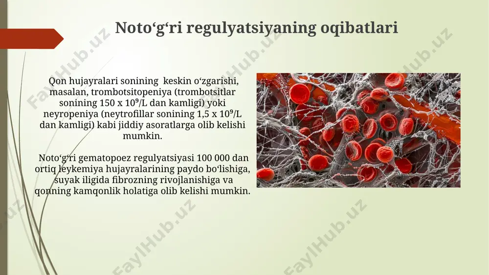 a, jumladan, kasallikning bosqichiga bog'liq. qon yaratuvchi hujayralarni transplantatsiya qilish, masalan, suyak ko'migi transplantatsiyasi, leykemiya va boshqa gematopoetik kasalliklarni davolashda muhim rol o'ynaydi, 5 yillik omon qolish darajasi 70% gacha yetishi mumkin. transkripsiya omillari g-csf, gm-csf va m-csf kabi sitokinlarning transkripsiyasini faollashtiruvchi transkripsiya omillari, shu jumladan pu.1, c/ebpα va runx1 kabi 3 ta asosiy omil, qon hujayralarining differentsiatsiyasi va ko'payishini tartibga soladi. scf retseptorlari (c-kit) orqali signal uzatuvchi yo'llar transkripsiya omillarining faolligi va eritropoezni tartibga soluvchi genlarning, masalan, epo genining ekspressiyasini 2-3 baravar oshirishi mumkin. qon hujayralari hosil boʻlishining regulyatsiyasi sukunatdagi gematopoez poyasi hujayralarining (gsh) faollashuvi va differentsiatsiyasi transkripsiya omillari, masalan, gata-1 va pu.1 ning ifodalanishi orqali 3-7 kun davomida tartibga solinadi. mikroi muhit, yaʼni suyak koʻmigʻidagi stromal hujayralar va ular chiqaradigan oʻsish omillari, qon hujayralari hosil boʻlish jarayonini tartibga soladi va kamida 10 xil sitokinni ishlab chiqaradi. mikroiqlim va hujayraaro oʻzaro taʼsirlar qon hujayralari hosil boʻlishini tartibga soluvchi mikro …