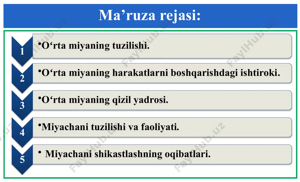 ing impulsli faolligini roʻyxatga olish paytida olingan ma’lumotlar, ularni sensor qoʻzgʻatgichlarning turli parametrlariga reaksiya qilish qobiliyati boʻyicha guruhlarga differentsiyalash imkonini beradi (nozdrachyov, 1991). tektal neyronlarning efferent ta’sirlari, bir qator hayotiy muhim shartsiz reflekslar shaklida amalga oshiriladi. toʻrt tepalikda orientirlash, koʻrish va eshitish reflekslarining, mudofaa reflekslarini birlashishi amalga oshiriladi. ushbu avtomatik reaksiyalarning hammasi, organizmning turni saqlash uchun muhim boʻlgan genetik dasturlashgan reaksiyalari kategoriyasiga kiradi. 1. oʻrta miyaning tuzilishi. harakatlarning koordinatsiyasida oʻrta miyaning boshqa strukturalari ham ishtirok etadi. silviev suv yoʻlidan ventralroqda, ikkita yoʻgʻon oʻq koʻrinishdagi miya oyoqchalari joylashgan boʻlib, ular oldi tomonga ajralib, keyingi miyaning yarimsharlariga qoʻshiladi. miya oyoqchalarining koʻndalang kesimida, ular pigmentli qatlam bilan ikkita - qopqoq (tegnetut) va oyoqlar asosi kabi qismlarga ajralgani koʻrinadi. pigmentli qatlam melanin pigmentiga boy neyronlardan iborat boʻlib, qora substantsiya deb nomlanadi. 1. oʻrta miyaning tuzilishi. miya oyoqchalarining qopqogʻida, funksional jihatdan muhim ahamiyatga ega yadrolar joylashgan boʻlib, ularning ichida eng kattasi – juft qizil yadro …