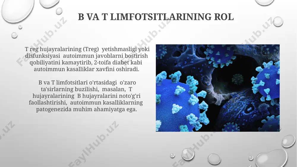 immunologik tolerantlik nuqsonlari. autoimmun xastaliklar - Page 4