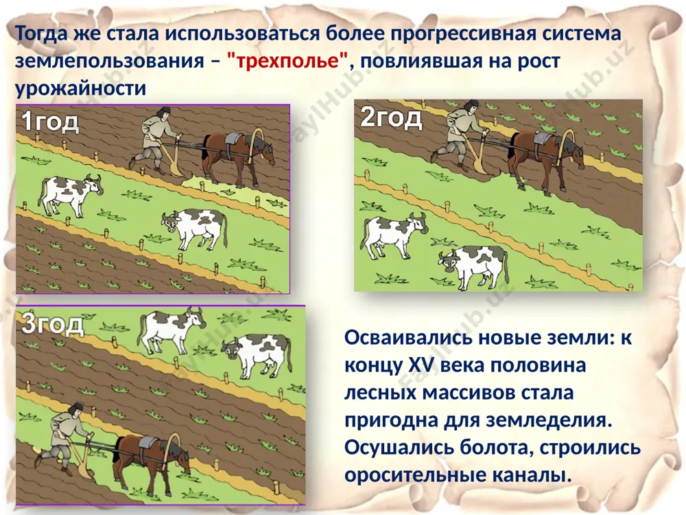 формированиесредневековых городов - Page 4