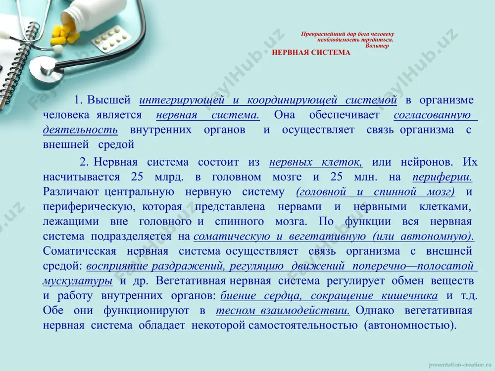 лько пучков образуют отдельные нервы. нервы, по которым возбуждение передается из центральной нервной системы к органам, называются центробежными или двигательными. нервы, проводящие возбуждение с периферии в центральную нервную систему, называются центростремительными или чувствительными. 4. головной и спинной мозг одеты тремя оболочками: твёрдой, паутинной, сосудистой. твёрдая — наружная, соединительно—тканная выстилает внутреннюю поверхность черепа и позвоночного канала. паутинная оболочка расположена под твёрдой — это тонкая оболочка с небольшим количеством нервов и сосудов. сосудистая оболочка сращена с мозгом и содержит много кровеносных сосудов. между сосудистой и паутинной оболочками образуются полости, заполненные жидкостью. 5. в ответ на раздражение нервная ткань приходит в состояние возбуждения— процесс, вызывающий или усиливающий деятельность органа. свойство нервной ткани передавать возбуждение называется проводимостью. скорость проведения возбуждения колеблется от 0,5 до 100 м/с и зависит от типа нервного волокна. возбуждение проводится по нервным волокнам изолированно и не переходит с одного волокна на другое. 6.деятельность нервной системы носит рефлекторный характер. ответная реакция …