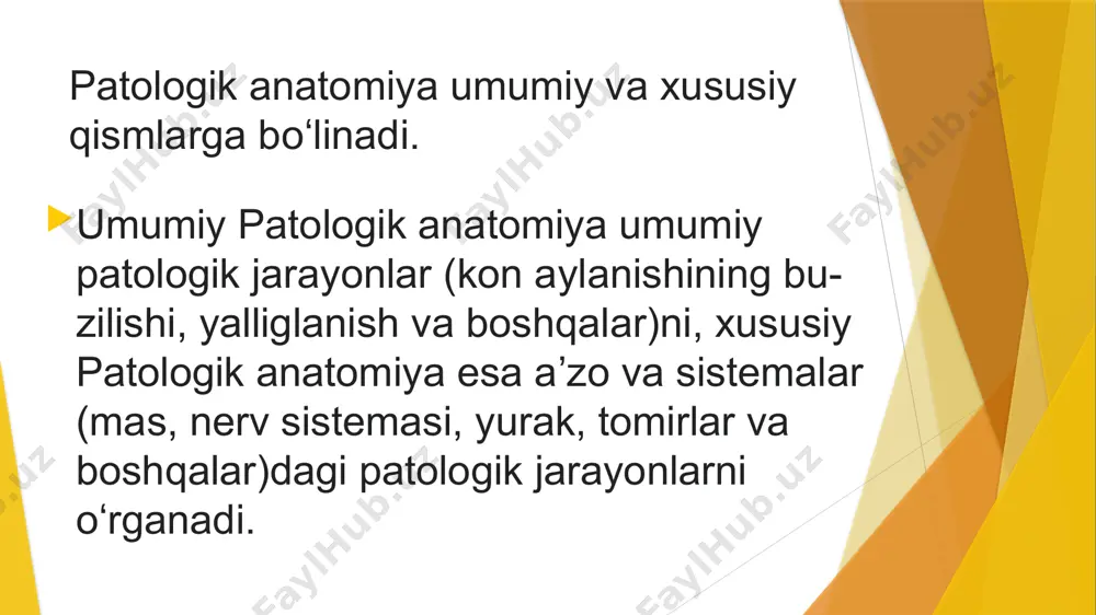 patalogik anatomiya - Page 4