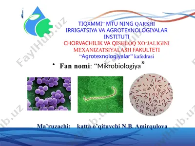 go'sht mikrobiologiyasi — PPTX