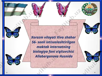 allaberganova husnida — PPTX