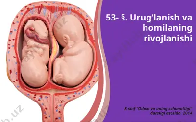 urug‘lanish va homilaning rivojlanishi. 8 - sinf — PPTX