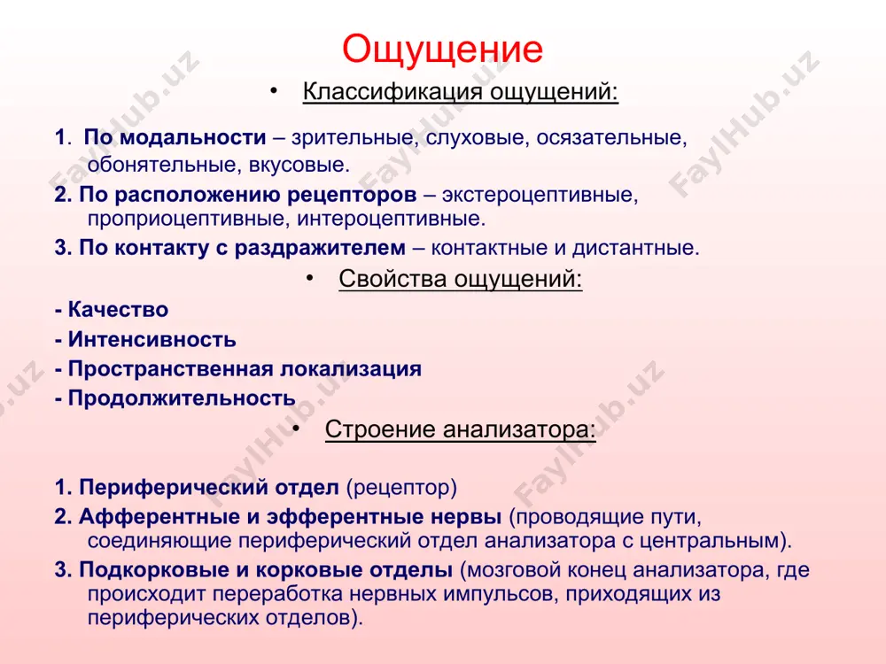 презентация по курсу "общая психология" - Page 5