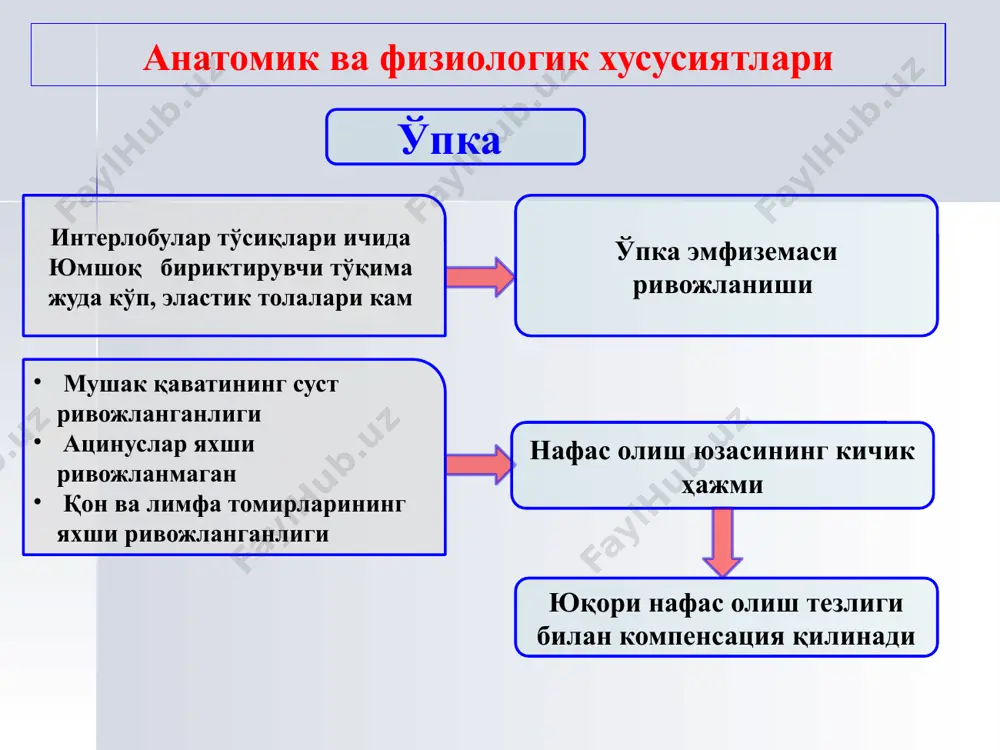 ug'ma pnevmoniya: streptococcus gr.b e.coli klebsiella pn. staph. aureus listeria monocyt. chlamidia tr. , etc. staph. aureus kasalxonadan tashqari pnevmoniya 1 - 12 oygacha e.coli virusi (rs, paragripp) streptoc. pneumon. staph. aureus et epiderm. chlamidia tr. , pn. mycoplasma pn. bolalarda pnevmoniya etiologiyasi kasalxonadan tashqari pnevmoniya 1 yoshdan 6 yoshgacha streptoc. pneumon. virusi (rs, paragripp, gripp, adenovirus) hemophilus infl. chlamidia tr. , pn. mycoplasma pn. adenovirus bolalarda pnevmoniya etiologiyasi kasalxonadan tashqari pnevmoniya 7 dan 18 yoshgacha streptoc. pneumoniae hemophilus influenza mycoplasma pneumoniae chlamydia pneumoniae bolalarda pnevmoniya etiologiyasi kasalxona ichi pnevmoniyasi pseudomonas aeruginosa proteus spp e.coli klebsiella pneumoniae staph. aureus enterobacter candida, aspergillus bolalarda pnevmoniya etiologiyasi birlamchi hujayrali immunitet tanqisligi fonida pnevmoniya: pneumocyst candida birlamchi gumoral immunitet tanqisligi fonida pnevmoniya: str.pneum. staph. aureus enterobacter. bolalarda pnevmoniya etiologiyasi oits fonida pnevmoniya: pneumocyst cmv-infektsiya mycobacteria candida bolalarda pnevmoniya etiologiyasi bir qator mikroorganizmlar uchun bronx-o'pka yallig'lanishni rivojlanishida ishtirok etish xarakterli emas: streptococcus viridans staphylococcus …