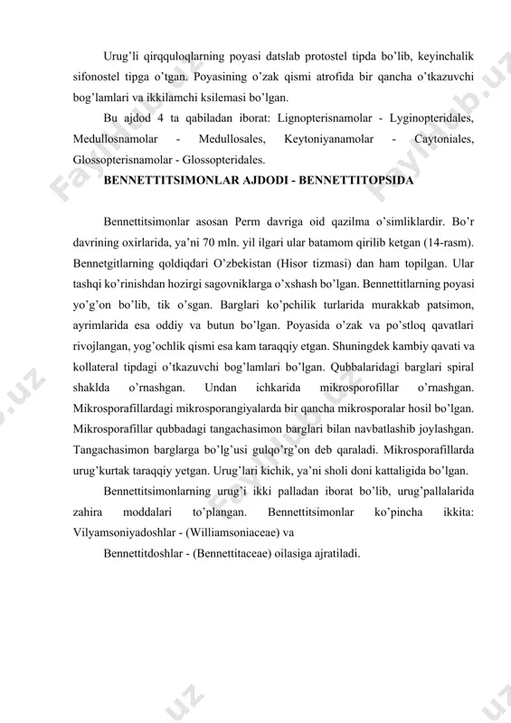 jratiladi. 14-rasm. qirilib ketgan bennittitlar (rekonstruksiya qilingan ko’rinishi). syuorda vilyamsoniya, sekadeoideya vilyamsoniya oilasining gigant vilyamsoniya (williamsonia gigas) nomli turining balandligi 2 metrgacha yetadigan, barglari murakkab patsimon, qubbalari asosan ikki jinsli bo’lgan. vilyamsoniyalar deyarli hamma qit’alardan topilgan. bennettitdoshlar (bennettitaceae) oilasi vakillari asosan quruq, issiq iqlimli joylarda o’sgan. poyasi yo’g’on va kichik (1 m gacha) shoxlanmagan bo’lib, patsimon murakkab barglari poyasining uchida rivojlangan. qubbalar poyasining yonlarida o’rnashgan. bennettitlarning qoldiqlari shimoliy amerika, g’arbiy yevropa, mongoliya, hindiston, yaponiya va o’rta osiyo, toshga aylangan poyasi esa italiyadan topilgan. xx asrning boshlarida amerika olimi d. uiland uning strobilini rekonstruksiya qilib, qadimgi gulli o’simliklarning guliga o’xshashligini ko’rsatgan. shunday qilib, bennettitlar qubbasining tuzilishiga asoslanib, angliyalik paleobotaniklar arber va parkinlar bennettitlar gulining kelib chiqishi haqidagi o’zlarining strobilyar (chingul) nazariyasini yaratganlar. shunga asosan aytish mumkinki, bennettitlar gulli o’simliklarning eng yaqin ajdodlaridan hisoblanadi. sagovniksimonlar ajdodi - cycadopsida bu sinfga bitta qabila va bitta sagovnikdoshlar (cycadaceae) oilasi 9 ta turkum, 120 ga …