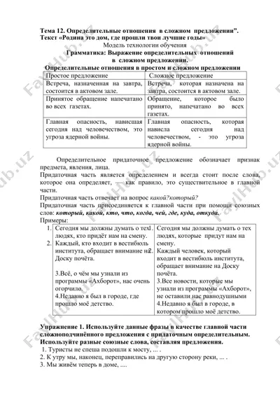 определительные отношения в сложном предложении — DOCX