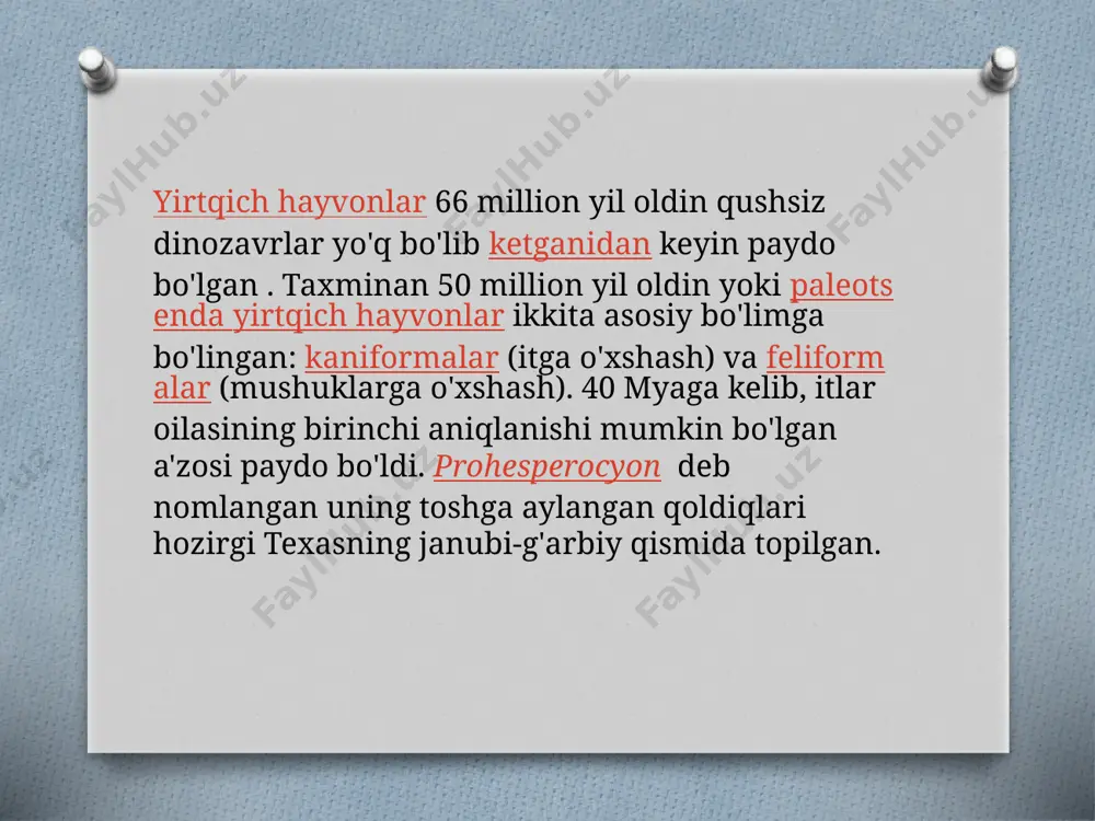 itsimonlar, hayot kechirishi va tarqalishi - Page 5