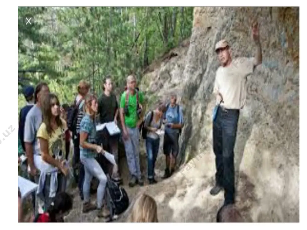 the education system in finland - Page 5