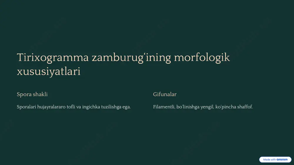tirixogramma zamburug‘i - Page 3
