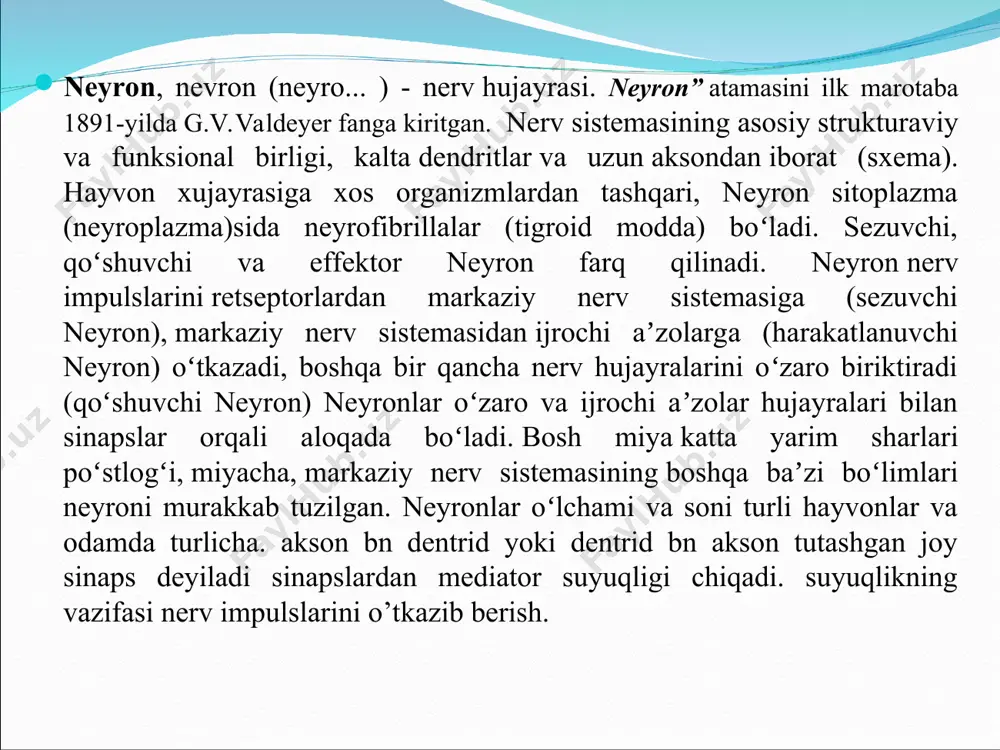 g borligini ko’rish mumkin. nerv tanasi dentritlar ta’sirotlarni qabul qiluvchi va nerv impulsini hujayra tanasiga o’tkazuvchi o’simtalar dendritlar deb nomlanadi. dentrit atamasini ilk marotaba fanga 1889-yilda shveysariyalik gistolog vilgelm gis tomonidan kiritilgan. dendrit bo’yicha impuls neyron tanasi tomon intiladi. ular unchalik uzun emas va neyron tanasi yaqinida daraxtga o’xshab shoxlanib tugallanadi. dentritlar aksonlardan farqli ravishda o’zida juda ko’p ribosomalarni tutadi. dendritlar miqdori turli neyronlarda turlichadir. ko’pchilik dendritlar maxsus tuzilishga ega bo’lgan sezuvchi nerv oxirlari (retseptorlar) bilan tugaydi. boshqa dendritlar esa qo’shni neyronlarning aksonlari bilan sinaps hosil qiladi. masalan, miyachaning po’stloq qismidagi purkine hujayralari dendritlarida 200000 ga yaqin akson terminallari aniqlangan. dendritlar butun bo’yi bo’yicha bir xil uzunlikka ega bo’lmay, ba’zi joylarda bo’rtib chiqqan do’mboqchalar hosil qiladi. akson bitta neyronda asosan, bitta akson bo’ladi. odatda, akson juda uzun bo’ladi. aksonlar dendritlardan farq qilib, doimiy diametrga ega bo’ladi. shuningdek, aksonlar bor bo’yiga do’mboqchalar hosil qilmaydi. aksonlarning protoplazmasi aksoplazma deb atalib, ular neyrofibrillalar, …