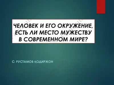 человек и его окружение, есть ли место мужеству в современном мире? — PDF