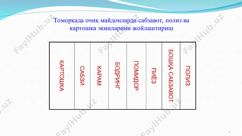 аҳоли томорқа хўжаликларида сабзавот ва полиз эккинларини етиштириш - Page 5