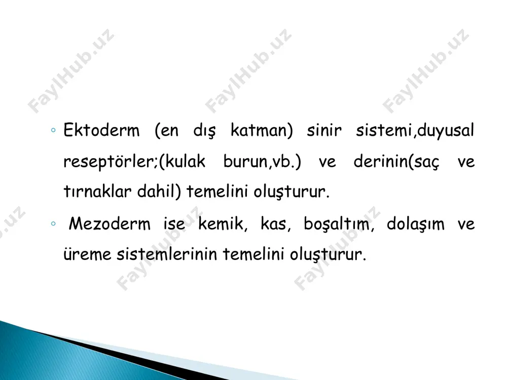 ır. 9. hafta: hareketlenmeler başlar § bebek 9. haftadadır.(hamilelikten 7 hafta sonra) § bebek şu anda yaklaşık olarak 2,5 cm uzunluğunda ve kilosu 3,5 gramdan biraz daha azdır. § omuruliğin bitimindeki embriyonik kuyruk kısalarak bebeğin bir kurbağa yavrusundan çok gelişen bir insana benzemesine yardım eder. § bebeğin neredeyse tüm vücudunun yarısı kadar olan başı göğsünün üzerine sokulmaya başlar. § meme başları ve saç kökleri şekillenmeye başlar. § bebeğin pankreası,safra kanalları,safra kesesi ve anüsü yerindedir. § testisler, ovaryumlar gibi iç üreme organları gelişmeye başlar. § bebek bu hafta hareketlenmeye başlayabilir. **** 9. hafta- hareketler başlar 10. hafta: nöronlar çoğalır § bebek 10. haftadadır.(hamilelikten 8 hafta sonra) § şu ana kadar bebeğin vital organları sağlam bir temele sahiptir. embriyonik kuyruk tamamen görünmez hale gelir ve bebek artık tam anlamıyla ayrık el ve ayak parmaklarına sahiptir. bebeğin iskeletinin kemikleri şekillenmeye başlar. § bu haftada bebeğin beyni her dakika neredeyse 250,000 yeni nöron üretir. …