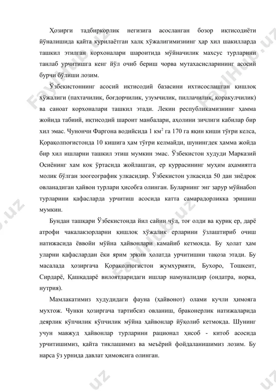 бўлган булса, уларга хеч бўлмаганда ярим эркинликдаги назоратли шароит яратилади ва мухофазага олинади. унинг кушандалари йўқлигига кафолат хосил қилиш лозим. тутқинликда урчитилаётган асосий мўйнабоп ҳайвонларга ҳозиргача нутрия (нутрия, сув каламуши) норка (қора кузан) тулки, қутб тулкиси (песец), собол кабиларни кўрсатишимиз мумкин. шундан бизнинг худудимизда асосан нутрия, қисман норка ва тулки кабилар урчитилади. республикамиз маҳаллий шароитлари урчитишга молик мўйнали ҳайвонларнинг ҳар бир тури ўзига хос умумий маълумотларга ва биологик хусусиятларга эга. шунинг учун уларни алоҳида таъриф этиш маъқулдир. нутрия кемирувчилар туркумига, нутриясимонлар оиласи, нутрия авлодига киради: нутрия сув каламуши, ёки сув бобри деб аталмоқда асл ватани жанубий америка. бу ҳайвон ақш, канада, англия, франция, югославия каби мамлакатларда, ҳамда собиқ совет иттифоқида иқлимлаштирилиб эркин ёки ярим эркин, шунингдек қафасли усулларда урчитилади. собиқ иттифоқ худудига 1940 йилларнинг бошларида (1930-1941) аргентина ва парагвайдан келтирилган. дастлаб краснодар улкаси, кавказ, қозоғистон, ўрта осиё сув оқимлари ва ҳавзаларига эркин урчитиш учун қуйиб юборилган. ўзбекистонга 1950 йилда 105 …