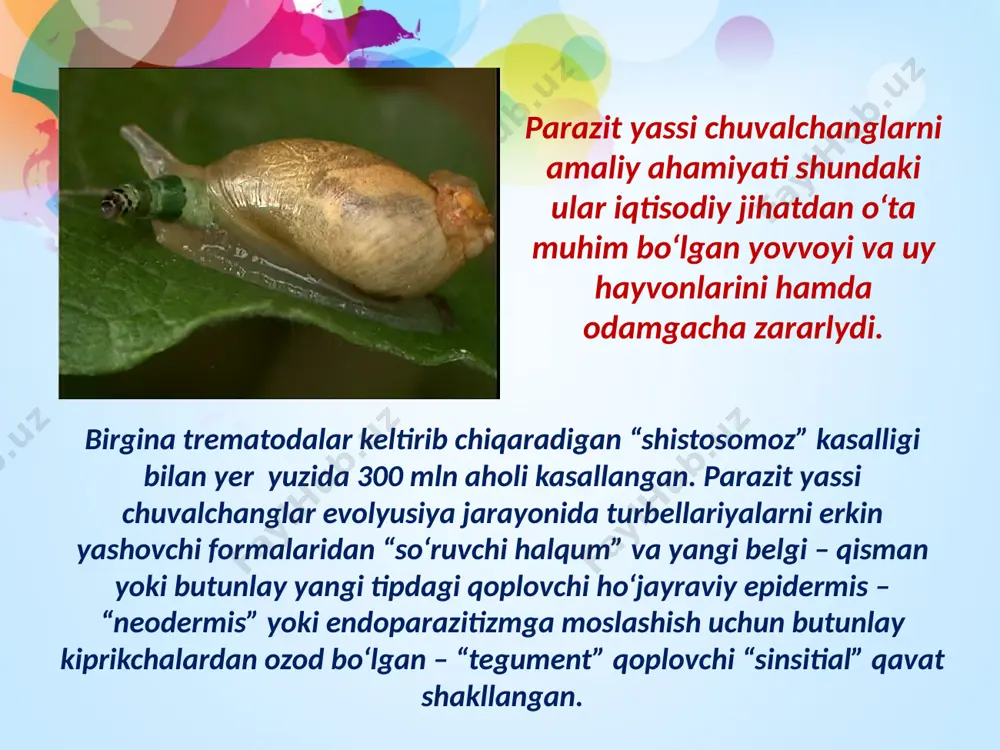 iemidlarning 75 ta turi bo’lib bu yupqa chuvalchanglar osminoglar va karakatitsa buyragida yashaydi. adabiyоtlar: 1. g.g.abrikosov va boshqalar. «zoologiya» 1 - 2 jilt. t: 1966. 2. v.f.natali «umurtqasiz hayvonlar zoologiyasi». t: 1966. 3. s.p. naimov. «umrtqali hayvonlar zoologiyasi» 1995 y. 4. o mavlonov .sh.xurramov «umirqasizlar zoologiyasi» t. 1988 y. 5. e.i.lukin «zoologiya» moskva 1989 image2.jpeg image3.jpeg image4.jpeg image5.jpeg image6.gif image7.jpeg image8.jpeg image9.jpeg image10.jpeg image11.jpeg image12.jpeg image13.jpeg image14.png image15.jpeg image16.jpeg image17.jpeg image18.jpeg image1.jpeg