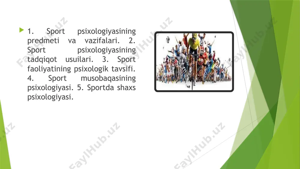 sport psixologiyasi - Page 3
