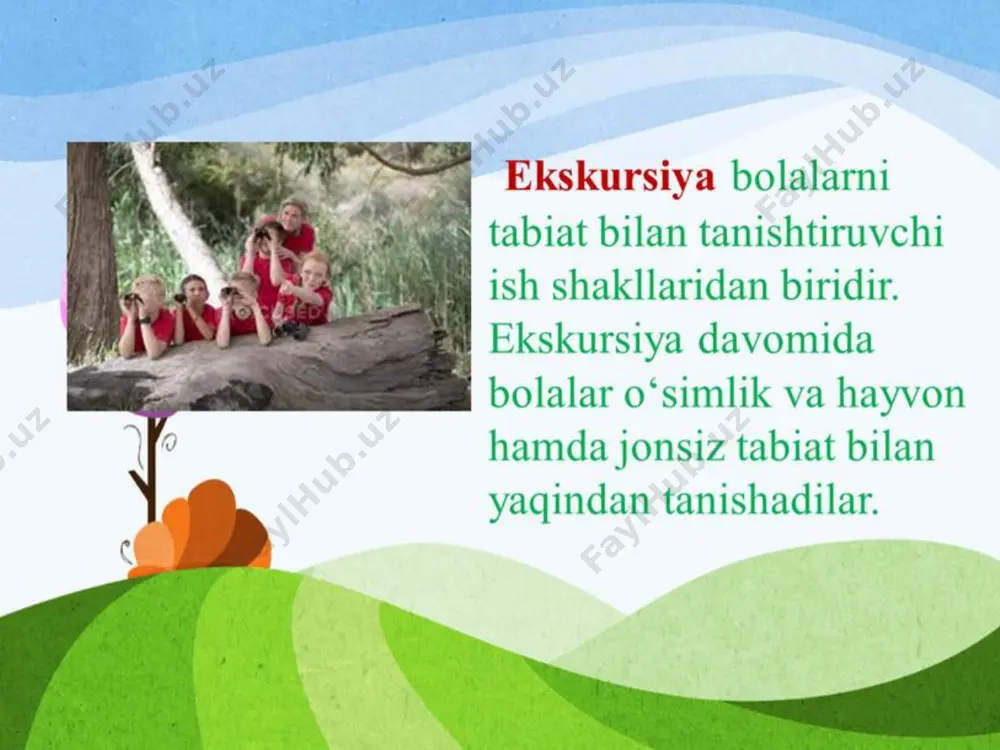 boshlang'ich sinf darslarida ekskursiya darslari - Page 2