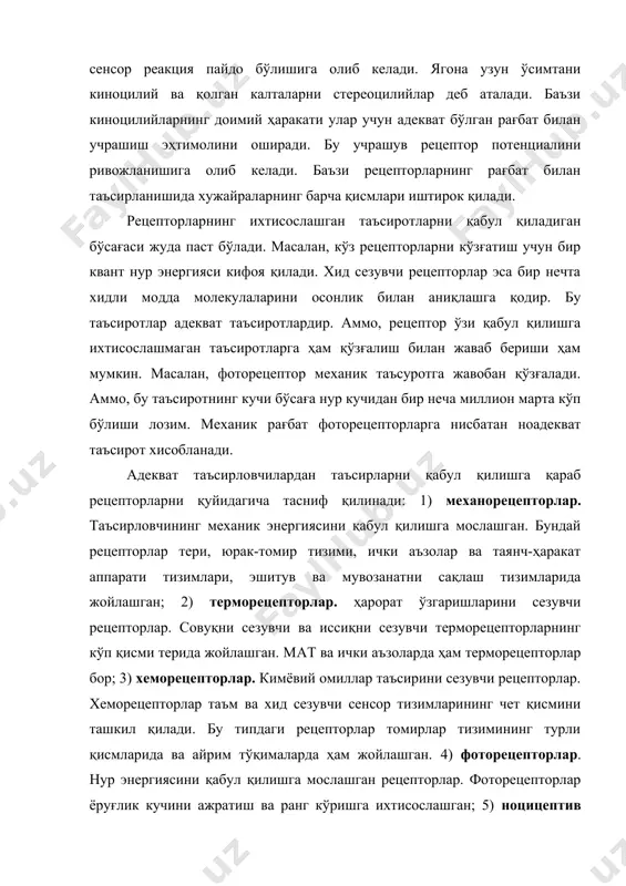 жойлашган. 4) фоторецепторлар. нур энергиясини қабул қилишга мослашган рецепторлар. фоторецепторлар ёруғлик кучини ажратиш ва ранг кўришга ихтисослашган; 5) ноцицептив рецепторлар. оғриқни пайдо қилувчи таъсиротларни қабул қилишга мослашган. бу сезги организмдаги рецепторларнинг деярли ҳаммасига ўта кучли таъсир кўрсатганда пайдо бўлади. айрим рецепторларда таъсирловчи энергиясининг асаб импульсига айланиши шу рецептор ҳужайра ўсимтасида содир бўлади. бу бирламчи рецептор сенсор нейроннинг перифериядаги ўзгарган дендритидир. аксони эса мат га ўтади. хид сезиш, тактил ва проприорецепторлар бирламчи рецепторларни ташкил этади. иккиламчи рецептор ва сенсор нейрон ўсимталари ўртасида синапслар жойлашган. рецептор ҳужайрада ҳосил бўладиган қўзғалиш бу синапслар орқали сенсор нейронларга ўтказилади. демак, сенсор нейронни ташқи таъсирот бевосита эмас, балки таъм сезув, вестибулияр аппарат рецепторлари иккиламчи рецепторлар хисобланади. таъсирловчилар рецептор хужайра мембранасининг баъзи бир ионлар учун ўтказувчанлигини ўзгартиради. мембрана орқали натрий ва кальций ионларнинг ичкарига қаратилган оқими рецептор потенциали ривожланишига олиб келади. бирламчи рецепторларда рецептор потенциал афферент асаб толасининг ҳаракат потенциалига айланади ва тегишли ахборотни асаб марказига етказади. …