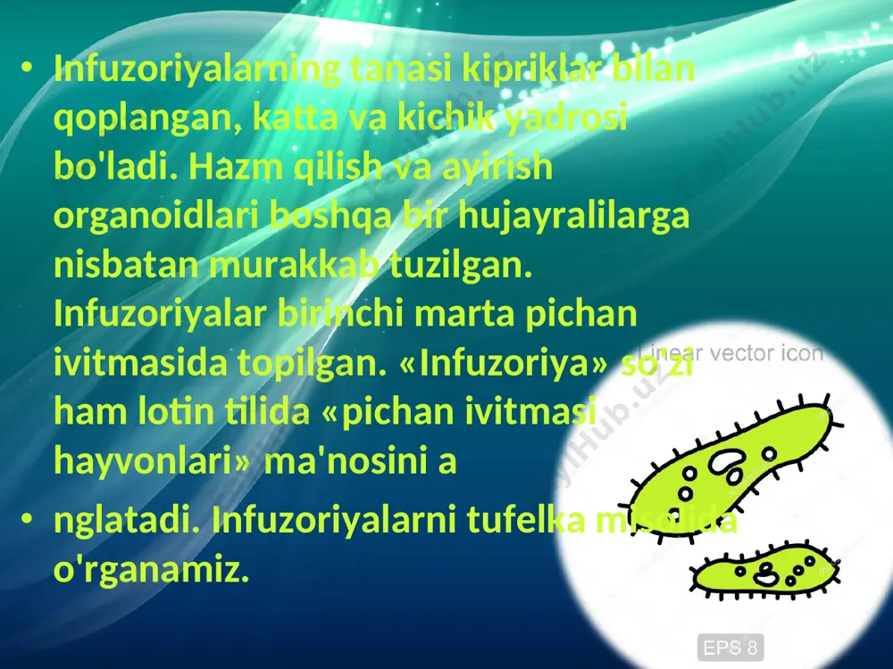 infuzoriyalar va sporalilar sinflari - Page 4