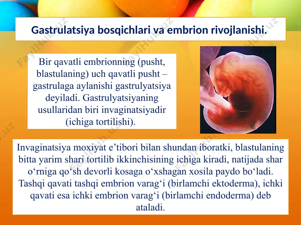 embrional rivojlanishning umumiy qonuniyatlari - Page 5