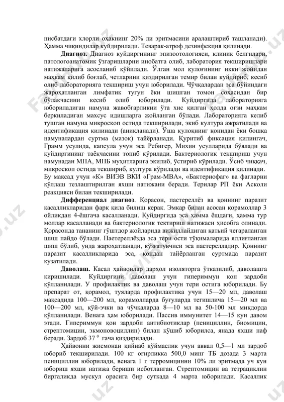 лтираб, бадани увишади, ғовак шиллиқ пардалар қип-кизариб кетади. касал ҳайвон жуда қийналиб юради, ичи дам бўлиб, қон аралаш ич кетади, сийдигида ҳам қон бўлиб, бўғозлари бола ташлаши мумкин. касал ҳайвон нафас олишга қийналиб, 2—3 кун ичида асфиксиядан ўлиб қолади. ярим ўткир кечиши. ярим ўткир кечганда ҳам юқоридаги белгилар кузатилади, лекин унчалик характерли бўлмай, бир оз чўзилади. маълум муддатга аҳвол енгиллашиши хам мумкин. лекин кейин яна қайталаниб, касал мол ўлади. чўл зоналарида касаллик баьзан ичак формасида кечади. қўйлар тўсатдан хуркиб сакраб кетади, кейин бирдан тўхтаб, оғзини очиб нафас олади, лапанглаб юради. касалликнинг ўпка шаклида геморрагик пневмония белгилари тез ривожланади. карбункул ҳолатда кечганида эса, терида карбункуллар пайдо бўлади. қорамоллар куйдиргиси. касаллик қорамолларда ҳам шиддатли, ўткир ярим ўткир ва атипик кечади. шиддатли кечганда моллар касалликнинг клиник белгилари намоён бўлмасдан ўлади. агар касаллик бир оз чўзилса, мол безовталаниб, ҳар нарсадан қўрқаверади, тана ҳарорати 40—42°с бўлиб, томири тез ура бошлайди, безовталаниш кучаяди. калласини биқинига олиб …