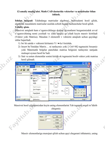 massivlar va matrisalar bilan ishlash — DOCX