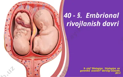 embrional rivojlanish davri. 9 - sinf — PPTX