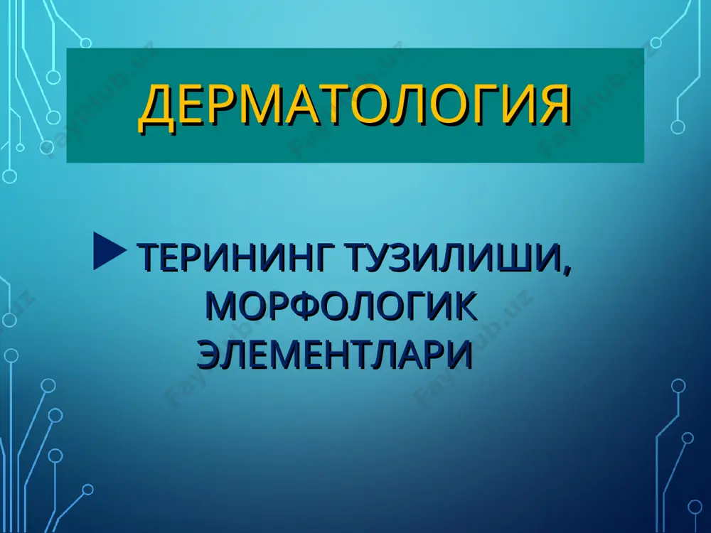 ар бироз йирикроқ тутамлар хосил қиладилар ва бир-бирлари билан кесишиб жойланиши оқибатида тўрсимон манзара хосил бўлади. улар орасидаги бўшлиқни оралиқ аморф моддаси, қон томирлари, нерв толалари, тер безлари,ёғ безлари, силлиқ мускул толалари, соч фолликулалари кабилар тўлдириб туради. тери ости ёғ клетчаткаси дерма аниқ чегарасиз тери ости ёғ қатламига (клетчаткага) ўтади. бу қатлам ёғ хужайралари тўпламидан иборат бўлиб, улар асл тери қаватининг тўрсимон қаватидан давом этган толали тўқималарнинг бир бирлари билан кесишиб, хосил қилишган катакчаларда жойлашадилар. бириктирувчи тўқима толалари шунингдек ичкарига йўналишда давом этиб, тери фасциясини хосил қилади, бу фасция остидаги мускул апоневрози билан ёки суяк пардаси билан бирикиб кетади. терининг хосилалари терининг хосилаларига сочлар, ёғ безлари, тер безлари ва тирноқлар кирадилар. сочда стержень ва ўзак тафовут қилинади. соч ўзаги соч қопчасининг (фолликуласининг) пиёзчасида тугайди. соч қопчасининг ички қавати эпителийдан, ташқи қавати бириктирувчи тўқимадан иборат. соч қопчасининг юқориги 1/3 қисмига ёғ безларининг чиқарув йўли очилади. ёғ безлари альвеоляр тузилишга эга,уларниг чиқарув …