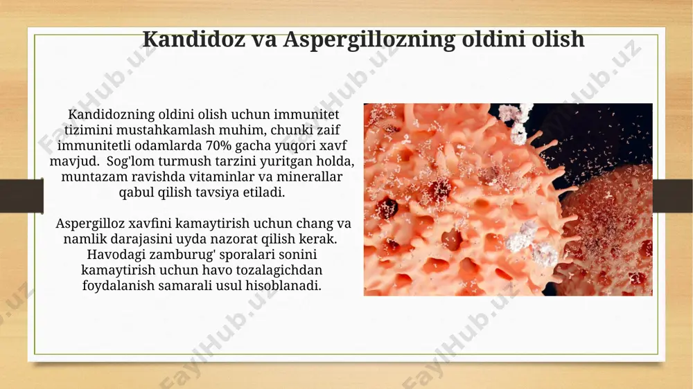 marali bo'lib, og'ir holatlarda 6-12 hafta davomida qo'llanilishi mumkin. og'ir invaziv aspergillozni davolash uchun amfoteritsin b kabi antifungal vositalar bilan birgalikda jarrohlik aralashuvi va immunomodulyatorlar qo'llanilishi mumkin. aspergillozning turli xil shakllari aspergillozning saprofit shakllari, ayniqsa immunitet tanqisligi boʻlmagan shaxslarda, odatda klinik ahamiyatga ega emas va oʻz-oʻzidan yoʻqoladi. allergik bronxo-oʻpka aspergilloz (aboa) taxminan 1-2% astmatik bemorlarda uchraydi va ige darajasining yuqori boʻlishi bilan tavsiflanadi. savol-javoblar кандидоз 1000 дан ортиқ турдаги candida замбуруғлари томонидан келтириб чиқарилади, уларнинг энг кўп учрайдигани candida albicans ҳисобланади. аспергиллёзнинг aspergillus fumigatus туфайли юзага келадиган шакли энг хавфли ҳисобланади ва ўпкада инвазив аспергиллёзнинг 90% дан ортиғига сабаб бўлади. murakkablashishlar va prognoz кандидоз касаллигида, агар иммунитет етишмовчилиги кузатилса, ўлим даражаси 40% гача етиши мумкин, бу эса ўз вақтида даволашнинг аҳамиятини таъкидлайди. кандидоз ва аспергиллёзнинг тарқалиш даражаси турли демографик гуруҳларда фарқланади. масалан, иммунитети сустлашган 65 ёшдан ошган беморларда хавф омиллари юқори. zambarlardan kelib chiqadigan infektsiyalar haqida umumiy ma'lumot zamburug'li infektsiyalar, …