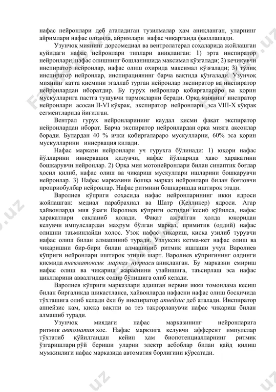 илувчи нейроннинг танаси орқа мия iii-iv бўйин сегментининг олдинги шохларидан иннервация олади. қобирғалар ва қорин мускуллари эса орқа миянинг кўкрак сегментларидан иннервация олади. агар орқа мия кўкрак ва бўйин сегментлари оралиғидан кесиб қўйилса, диафрагма ёрдамида нафас олиш сақланиб қолади, қобирғалар ёрдамида нафас олиш тўхтайди, чунки диафрагма нервининг мотонейрони кесилган жойдан юқорида қолади. орқа мия узунчок мия остидан кесиб қўйилса, нафас таққа тўхтайди. бироқ, бурун ва хиқилдоқни бевосита узунчоқ миядан чиқарадиган нервлар билан иннервацияловчи ёрдамчи нафас мускуллари қисқариши бир неча вақт давом этиб туради. ҳайвонларда узунчоқ миянинг қуйи қисмига шикаст етказилганда нафас тўхташи мумкинлиги xviii асрда маълум бўлган. 1842 йилда флуранс узунчоқ миянинг айрим қисмларини шикастлаб ва таъсирлаб, нафас маркази узунчоқ мияда жойлашганлигини тажриба йўли билан исботлаб берди. 1885 йилда н.а.миславский узунчоқ миянинг айрим қисмларини шикастлаб, нафас маркази узунчоқ миянинг iv қоринча туби каудал қисмида жойлашган тузилмалар йиғиндиси эканлигини аниқлади. бундан ташқари олим нафас марказини икки қисмдан - нафас олиш (инспиратор) …