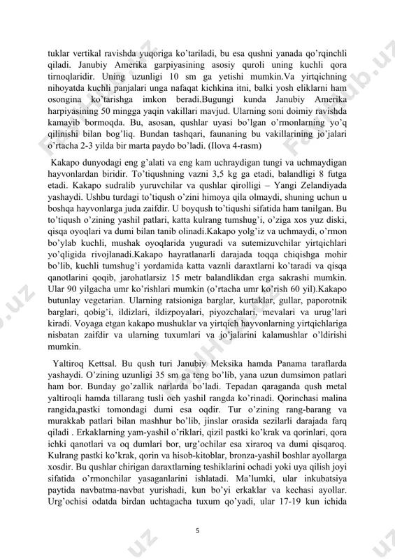 ngiz qirg’oqlarida yashaydi, uyalari esa daraxtlar tepasida va daryo vodiylarida joylashgan.bu burgut balandligi 150 sm va diametri 250 sm gacha bo’lgan novdalar va tayoqlardan iborat katta hajmli konstruktsiyalar bo’lgan bir nechta aeriyalarni quradi. ular odatda bunday uyalarni daraxtlarga yoki erdan 15-20 m balandlikda, ba’zan esa 45 m gacha bo’lgan daraxtlarga qo’yadilar.stellerning dengiz burgutlari uyasini qurgandan so‘ng uning ustida juftlashadi. ular birinchi yashil-oq tuxumlarini apreldan maygacha qoʻyadi. stellerning dengiz burgutlari iucn tomonidan zaif deb tasniflanadi. ular qonuniy himoyalangan, yaponiyada milliy boylik sifatida tasniflangan va asosan rossiyaning qo’riqlanadigan hududlarida uchraydi, ammo ularning omon qolishi uchun ko’plab tahdidlar mavjud. bularga asosan yashash joylarining o’zgarishi, sanoatning ifloslanishi va ortiqcha baliq ovlash kiradi , bu esa o’z o’ljasining manbasini kamaytiradi.global iqlim oʻzgarishining taʼsiri boʻlishi mumkin boʻlgan kuchli suv toshqini, ota-onalarning oʻz bolalarining omon qolishi uchun zarur boʻlgan baliqlarni tutish qobiliyatiga toʻliq toʻsqinlik qilganligi sababli, rossiya daryolarida uya qoʻygan burgutlarning deyarli toʻliq uya qurmasligiga olib keldi. …