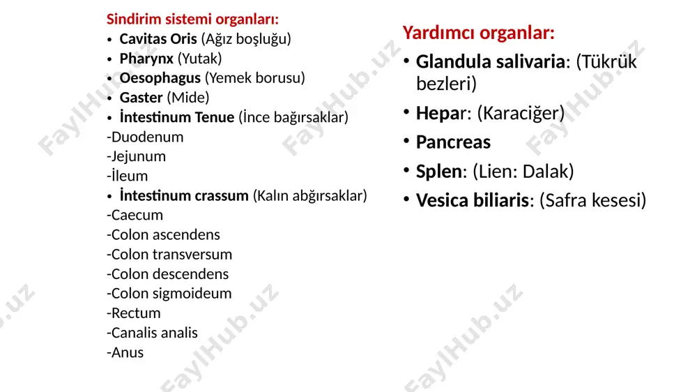 illae vallatae (acı) papillae foliatae (ekşi) papillae fungiformes papilla lentiformis: (tatlı-tuzlu) papillae filiformes: tat tomurcukları içermezler papillae conicae: tat tomurcukları içermezler papillae vallatae papillae fungiformes papillae filiformes m. genioglossus: dili dışarı ve aşağıya çeker. m. hyoglossus: dili aşağı doğru çeker. m. styloglossus: dili yukarı ve arkaya çeker. m. palatoglossus: i̇sthmus fauciumu daraltır , dil kökünü yukarı çeker. di̇li̇n ekstrensek kaslari di̇li̇n i̇ntrensek kaslari m. longitudinalis superior: dilin ucu ve kenarlarını yukarı kıvırır. m. longitudinalis inferior: dilin boyunu kısaltır. dil ucunu aşağı kıvırır. m. tranversus linguae: dili daraltarak boyunu uzatır. m. verticalis linguae: dili yassılaştırır. m. genioglossus m. hyoglossus: m. styloglossus: m. palatoglossus m. longitudinalis superior m. longitudinalis inferior m. tranversus linguae m. verticalis linguae sinirleri dil kaslarının motor innervasyonu: n. hypoglossus tarafından sağlanır. dilin 2/3 ön tarafının; genel duyusu n. lingualis, tat duyusu chorda tympani (n. facialis), dilin 1/3 arka tarafının; genel duyu ve tat duyusu n. glossopharyngeus di̇şler corona …