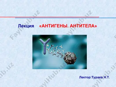 лекция «антигены. антитела» — PPT