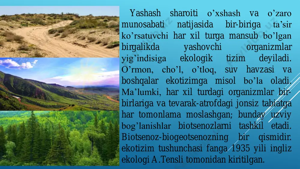 ekosistemalar va biologik muvozanat - Page 4