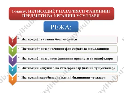 иқтисодиётнинг турли даражалари — PPTX